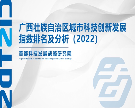 白虎喷浆【成果发布】广西壮族自治区城市科技创新发展指数排名及分析（2022）